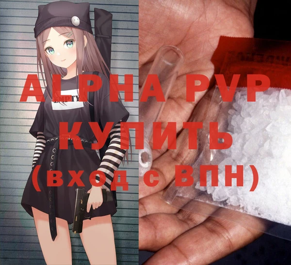 сатива Беломорск