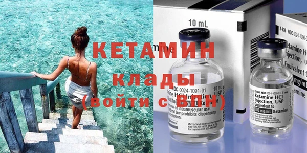 сатива Беломорск