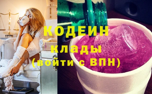 индика Баксан