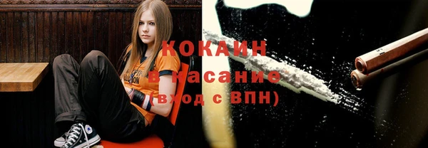 сатива Беломорск