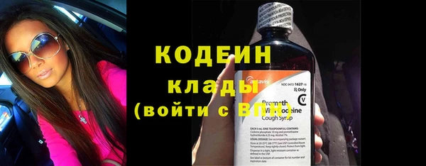 сатива Беломорск