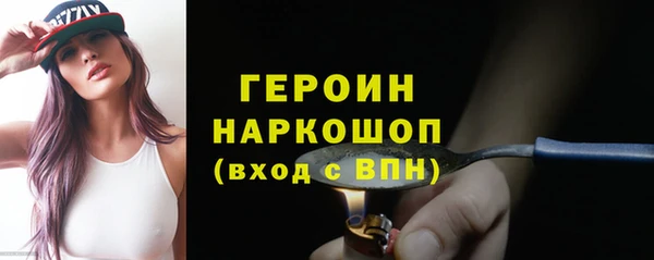 сатива Беломорск