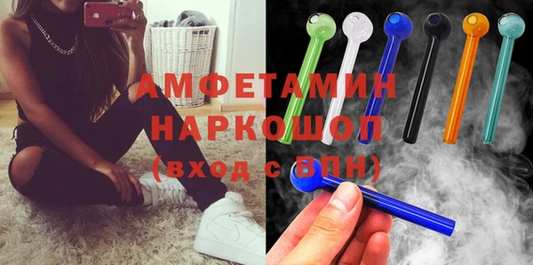 сатива Беломорск